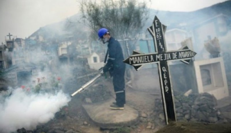 الصحة العالمية تدق ناقوس الخطر بعد تفشي فيروس زيكا بالقارة الأمريكية
