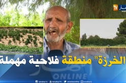 المسيلة/ “الخرزة”..قبلة فلاحية بإمتياز رغم النقائص