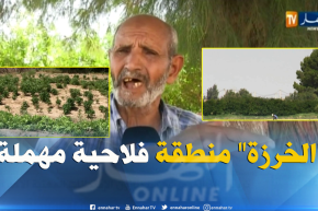 المسيلة/ “الخرزة”..قبلة فلاحية بإمتياز رغم النقائص