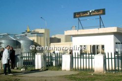 بدوي :” أقطاب الاستثمار مفتوحة للخواص “