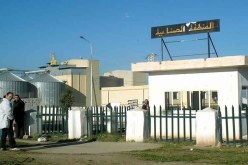 مناطق نشاط صناعي صغيرة في كل دائرة لجلب الاستثمار