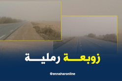 بالصور ..زوابع رملية تعرقل حركة السير بالمناطق الجنوبية لتيارت