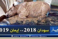 السرطان يقضي على “إيمان” آخر إناث وحيد القرن السوماطري