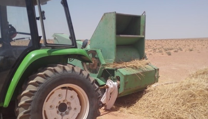 الأغواط.. آلة حصاد تقتل صاحبها بحاسي الرمل