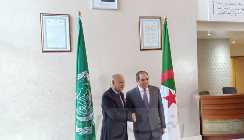 أبو الغيط: لن نعقد قمة الدول العربية إلا بعد استشارة الرئيس تبون