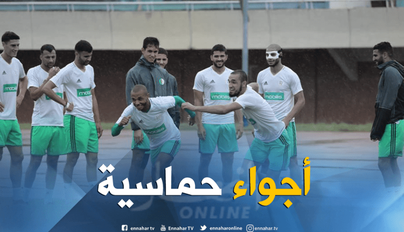 بالصور.. الحصة التدريبة الأخيرة للخضر قبل مواجهة غامبيا