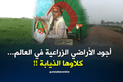 أجود الأراضي الزراعية في العالم…كلاوها الذيابة !!