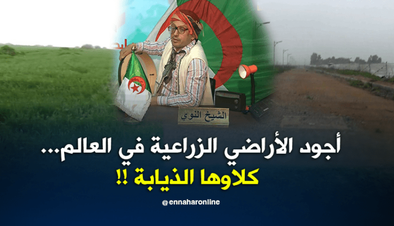 أجود الأراضي الزراعية في العالم…كلاوها الذيابة !!