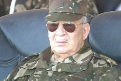 ڤايد صالح: “سيتم فتح جميع الملفات الثقيلة التي كانت حبيسة الأدراج عن قصد”