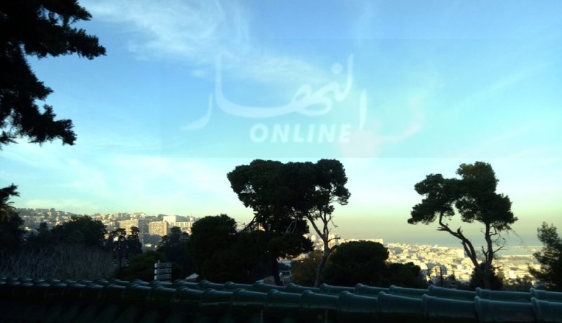 رياح تصل سرعتها لـ80 كيلومتر تضرب 17 ولاية بغرب وسط وشرق البلاد