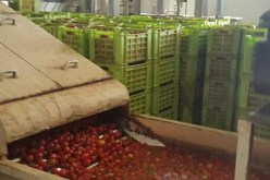 أدرار.. إنفجار سخان مائي بوحدة الطماطم المصبرة برقان