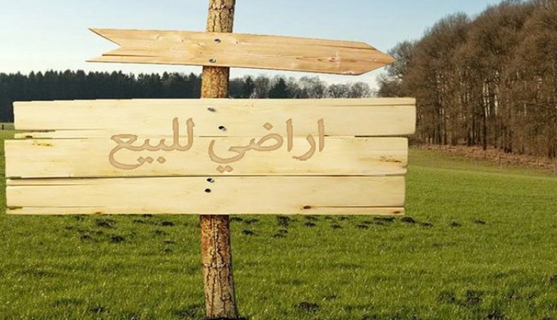 توقيف سماسرة عقار باعوا مواطنين أراضي غابية في وهران
