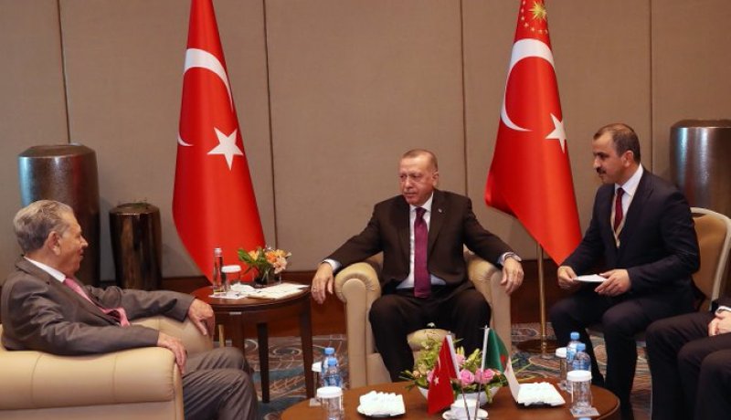 أردوغان يستقبل رئيس مجلس الأمة بالنيابة صلاح قوجيل