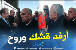 شاهد.. ردة فعل والي تيسمسيلت على تأخر إحدى المشاريع
