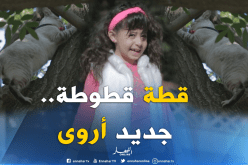 “قطة قطوطة”.. جديد أصغر نجمة جزائرية حصريا على “النهار”