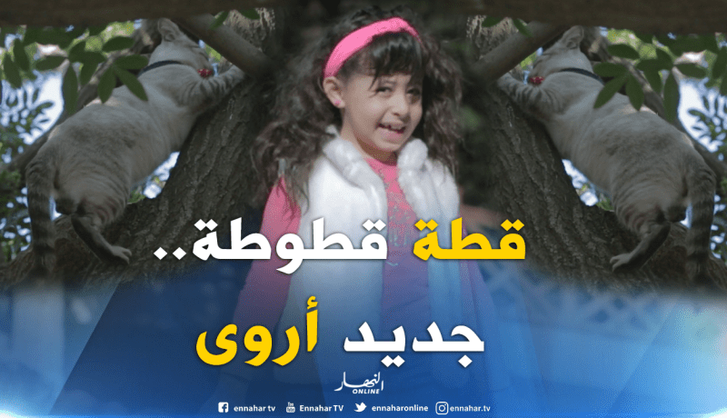 “قطة قطوطة”.. جديد أصغر نجمة جزائرية حصريا على “النهار”