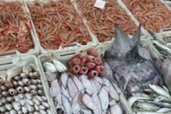 «منتوج العاصمة من الأسماك يفوق 4 آلاف طن سنويا»