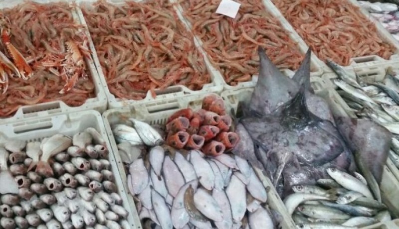 «منتوج العاصمة من الأسماك يفوق 4 آلاف طن سنويا»