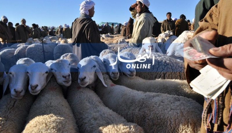 أسواق لبيع المواشي بداية من 2020 تسيّرها مؤسسات عمومية