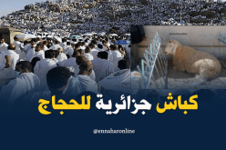 أضاحي محلية للحجاج الجزائريين بالسعودية