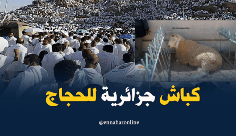 أضاحي محلية للحجاج الجزائريين بالسعودية