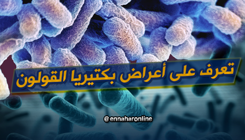 تعرف على أعراض بكتيريا القولون