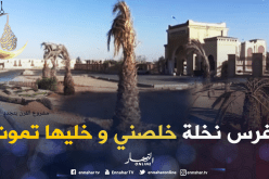 تبزنيس تاع النخل راهو حاكم في تندوف .. السلطات المحلّية هابطين !!