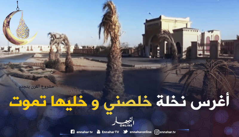 تبزنيس تاع النخل راهو حاكم في تندوف .. السلطات المحلّية هابطين !!