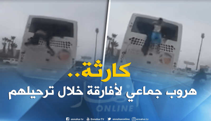 بالفيديو.. هروب جماعي لمهاجرين أفارقة من النافذة الخلفية للحافلة خلال ترحيلهم
