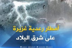 أمطار رعدية غزيرة على السواحل الشرقية