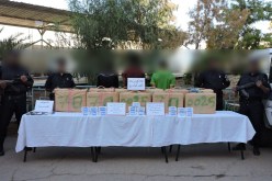 ظبط 250 كلغ “زطلة” وتوقيف 3 أشخاص في بشار