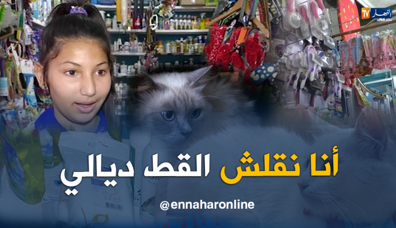 عطور ملابس وأكسيسوارات.. هكذا يعتني الجزائريون بحيواناتهم
