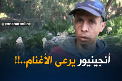 الهواري.. راعي أغنام بشهادة مهندس دولة بعين تيموشنت