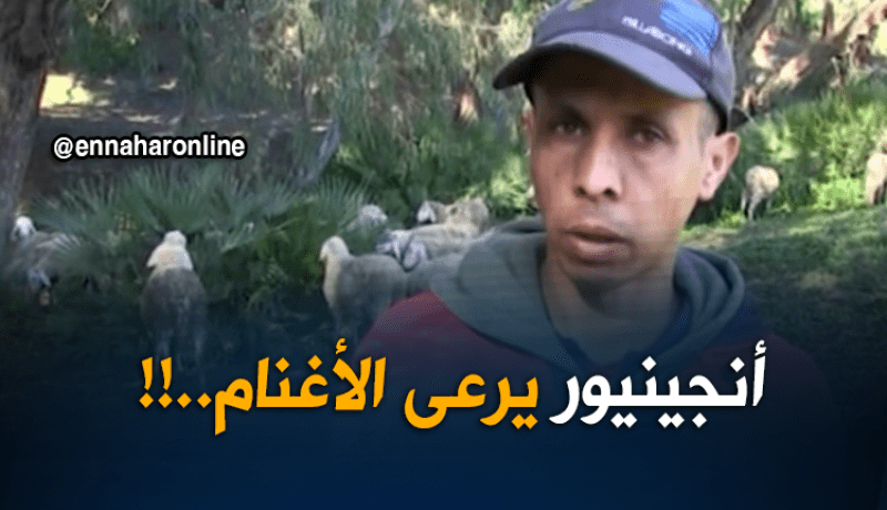الهواري.. راعي أغنام بشهادة مهندس دولة بعين تيموشنت