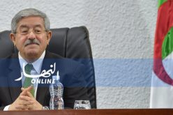 أويحيى: أحيي المطالب السلمية للشعب ولا شيء أغلى من إنقاذ الجزائر