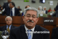 أويحيى: إقحام السلطات المحلية لخدمة الأراضي الفلاحية في الريف