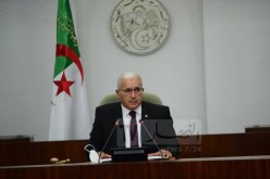 بوغالي: التكالب على وحدتنا لم يعد خفيا.. وما أقدم عليه المغرب تعدى كل الأعراف والقوانين الدولية