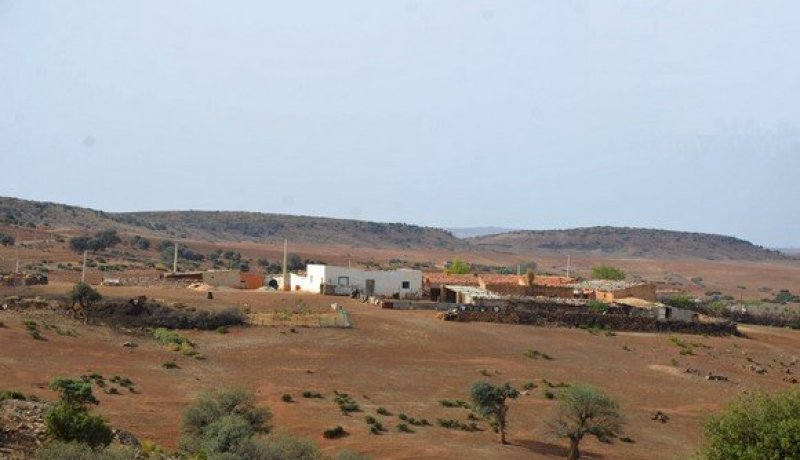 إبراهيم مراد: تجسيد 41 بالمائة من المشاريع الموجهة لمناطق الظل