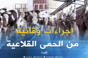 البويرة: إتخاذ إجراءات وقائية بعد إكتشاف حالات جديدة للحمى القلاعية بعين بسام