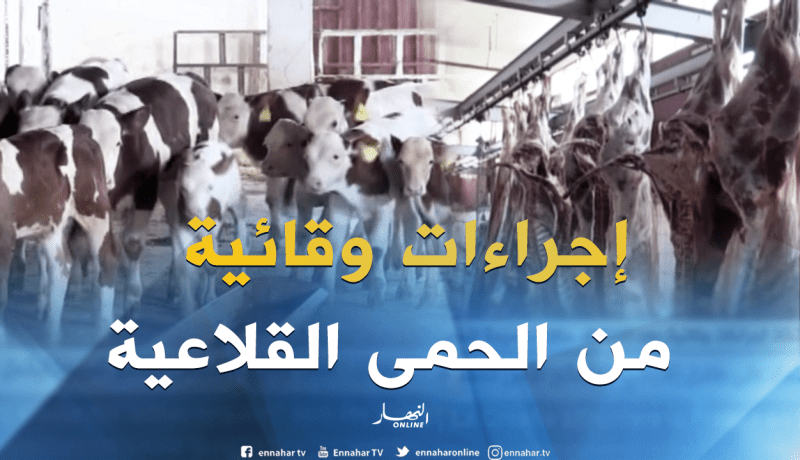 البويرة: إتخاذ إجراءات وقائية بعد إكتشاف حالات جديدة للحمى القلاعية بعين بسام