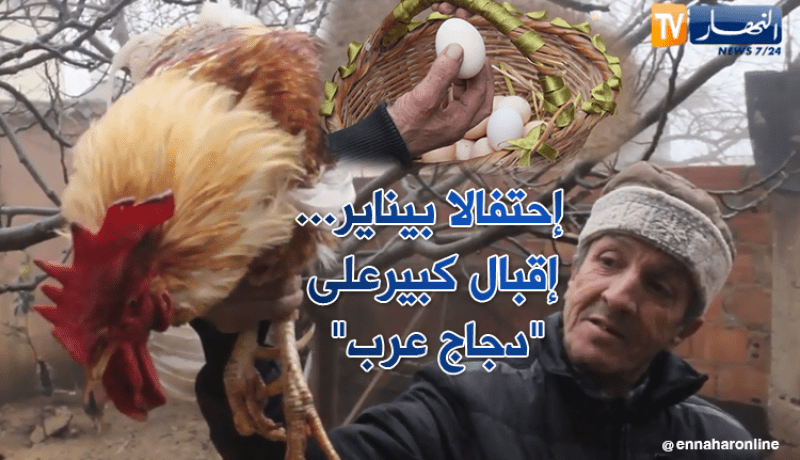 إقبال كبير على “جاج عرب” إحتفالا بيناير في المدية