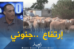 أسعارمعقولة للخرفان خارج المواسم…وإرتفاع جنوني قبل العيد