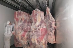 استيراد 2500 طن من اللحوم الحمراء و2500 طن من غبرة الحليب خلال رمضان