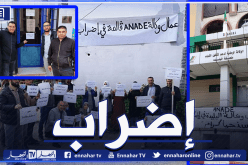 بالصور.. عمال الوكالة الوطنية لدعم وتنمية المقاولاتية يدخلون في إضراب وطني