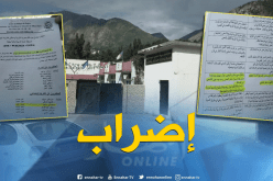  العمال المهنيّون بمتوسطة سعدان بدرقينة يدخلون في إضراب مفتوح ببجاية 