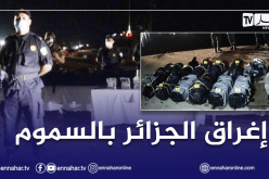 دفاع: إحباط محاولة إدخال 490 كلغ من الكوكايين في سواحل وهران