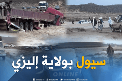 بالصور.. سيول بمنطقة أهرير في إليزي تخلف خسائر مادية
