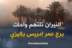 بالصور.. الحرائق تأتي على مساحات كبيرة من النخيل ببرج عمر إدريس في إليزي