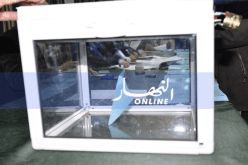 السلطة الوطنية المستقلة: الإحتجاج ضد الإنتخابات بالخارج أثر إيجابيًا على عدد الناخبين