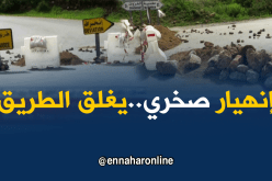 تلمسان: سقوط الحجارة يتسبب في غلق الشق الرابط بين ندرومة ومغنية